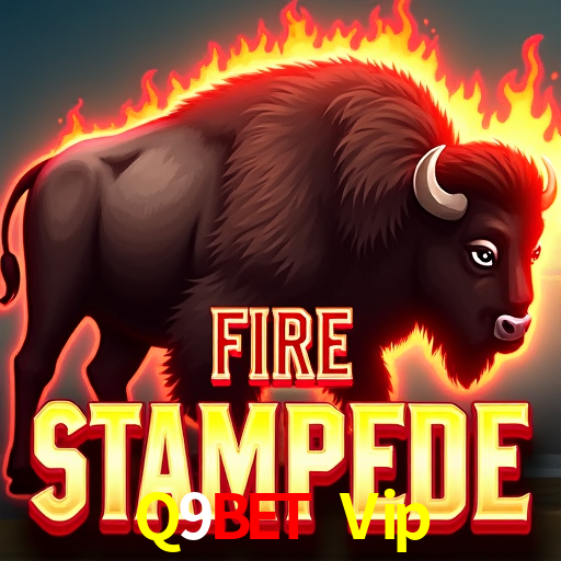 Explore as vantagens do Q9Bet Vip: serviço profissional e confiabilidade